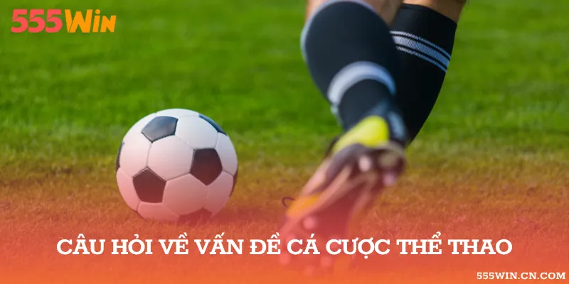 Lưu ý một số FAQ về quá trình cá cược thể thao ở nhà cái trực tuyến