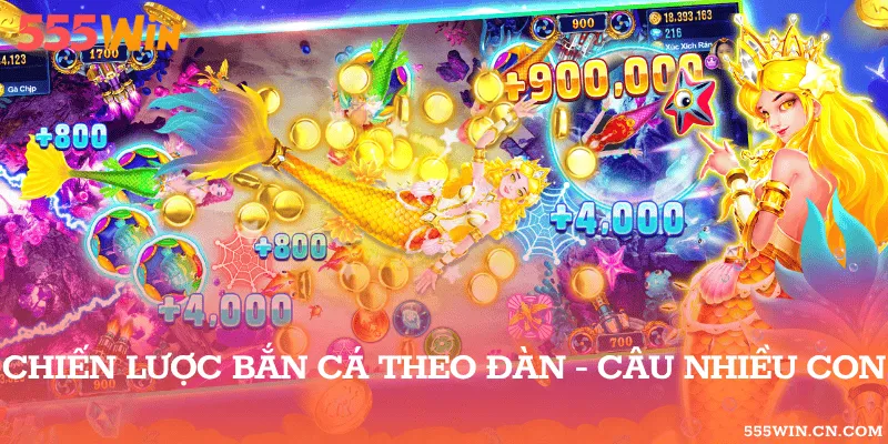 Đánh gục cá theo bầy đàn, dễ kiếm nhiều xu hơn