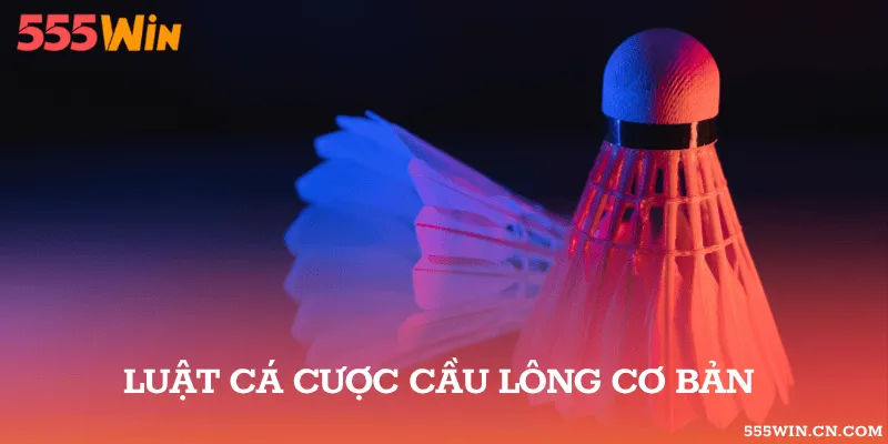 Luật cá cược cầu lông cơ bản 